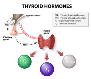 Hormonal Health